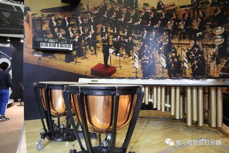 新宝GG乐器 试奏乐器