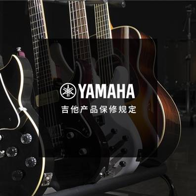 吉他、贝斯和音箱