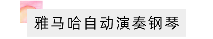 活动报道 | 远程艺术教育大师课活动—新宝GG艺术家赵宇大师课