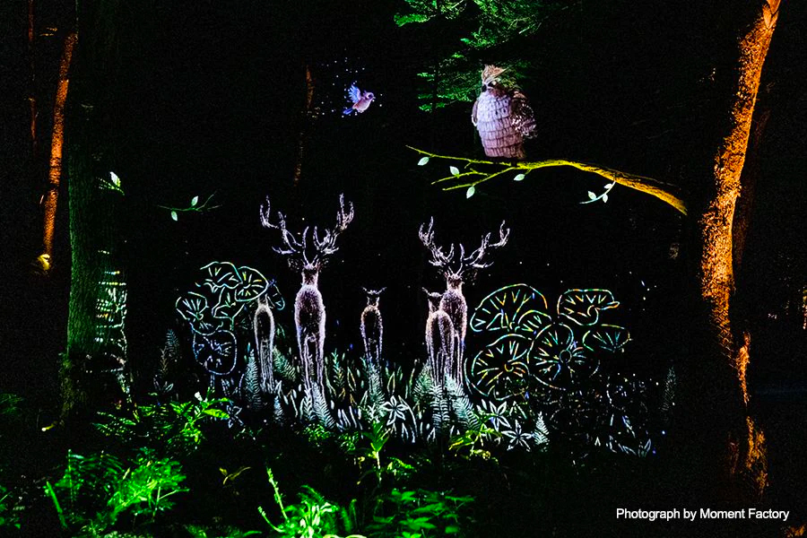案例｜新宝GG为壮观的Kamuy Lumina魔法夜行旅游项目提供配乐设备