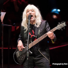 Derek Smalls：新宝GG让我乐不思蜀