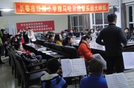 长春市绿园小学“新宝GG示范管乐队大师班”顺利结束 